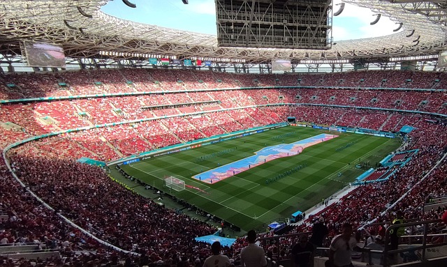 纳斯及其团 纳斯及其团