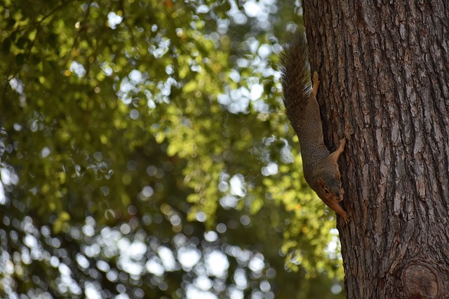 看到了他的 看到了他的