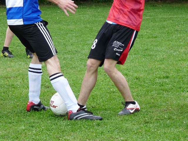 细菌的神秘 细菌的神秘