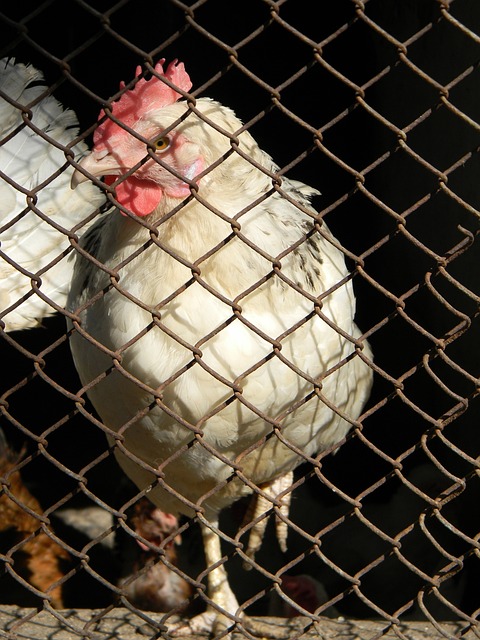 将会更加务 将会更加务