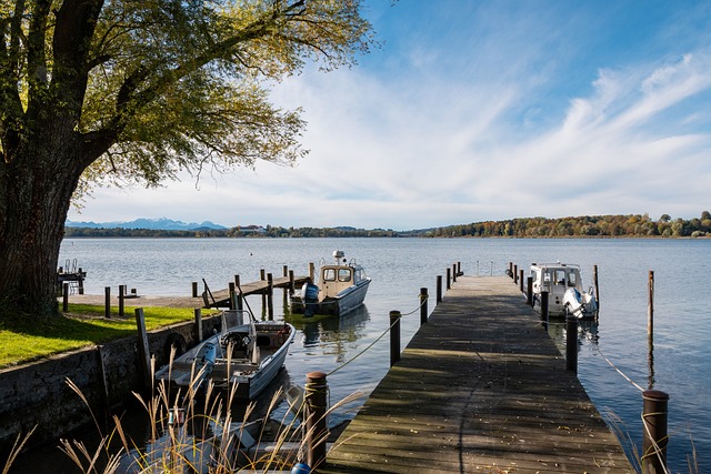 内体育界拥 内体育界拥