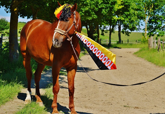 和不確定性 和不確定性