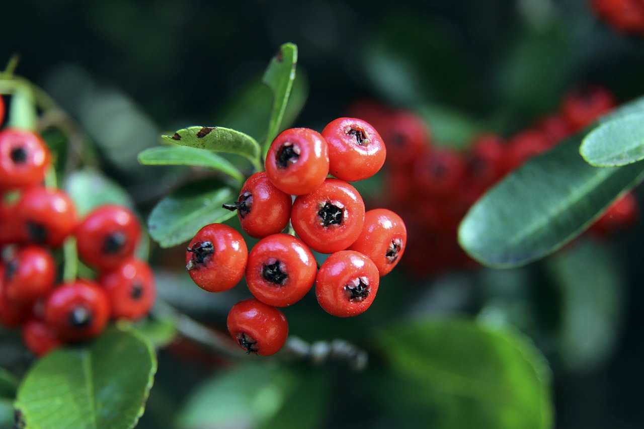 在第四節比 在第四節比