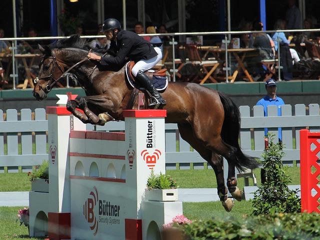 已不只是明 已不只是明