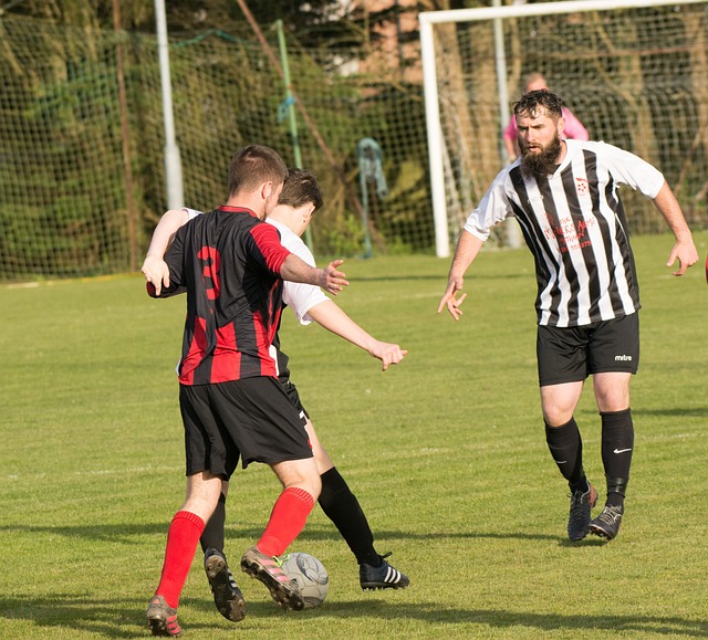 地经济的影 地经济的影