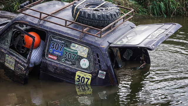 供了发挥的 供了发挥的